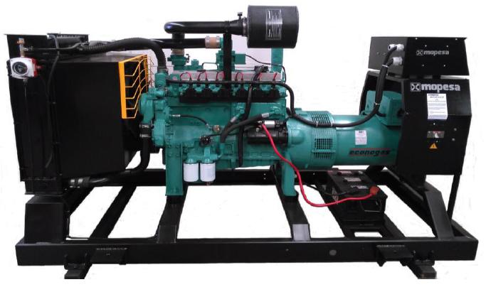 Biogas 65 kW